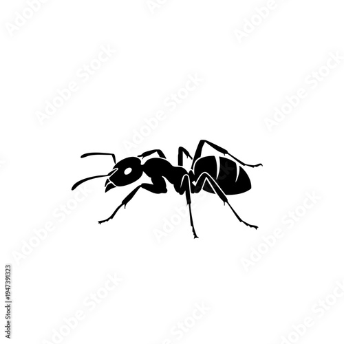 A detailed black ant with distinct body segments and antennae