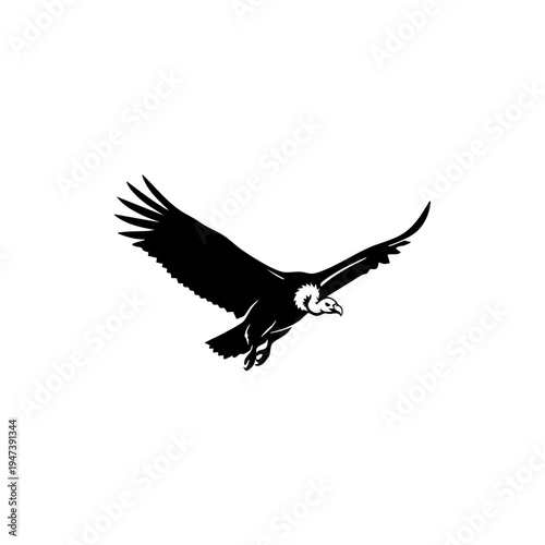 A sleek black bird of prey captured in mid-flight with wings spread wide