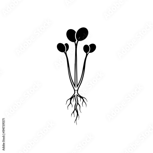 Black silhouette of a cluster of mushrooms with visible roots growing from soil