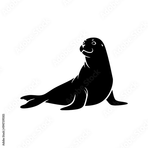 A relaxed sea lion resting on a flat surface with its head raised