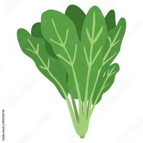 「ほうれんそう」野菜・食材のシンプルなイラスト素材