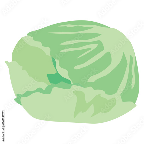 「レタス」野菜・食材のシンプルなイラスト素材