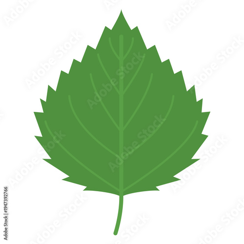 「シソ」野菜・食材のシンプルなイラスト素材