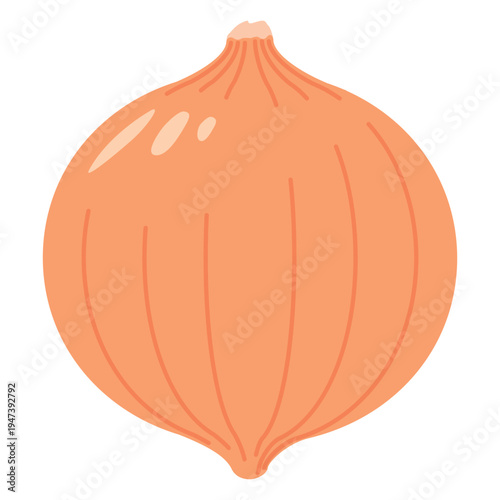 「玉ねぎ」野菜・食材のシンプルなイラスト素材