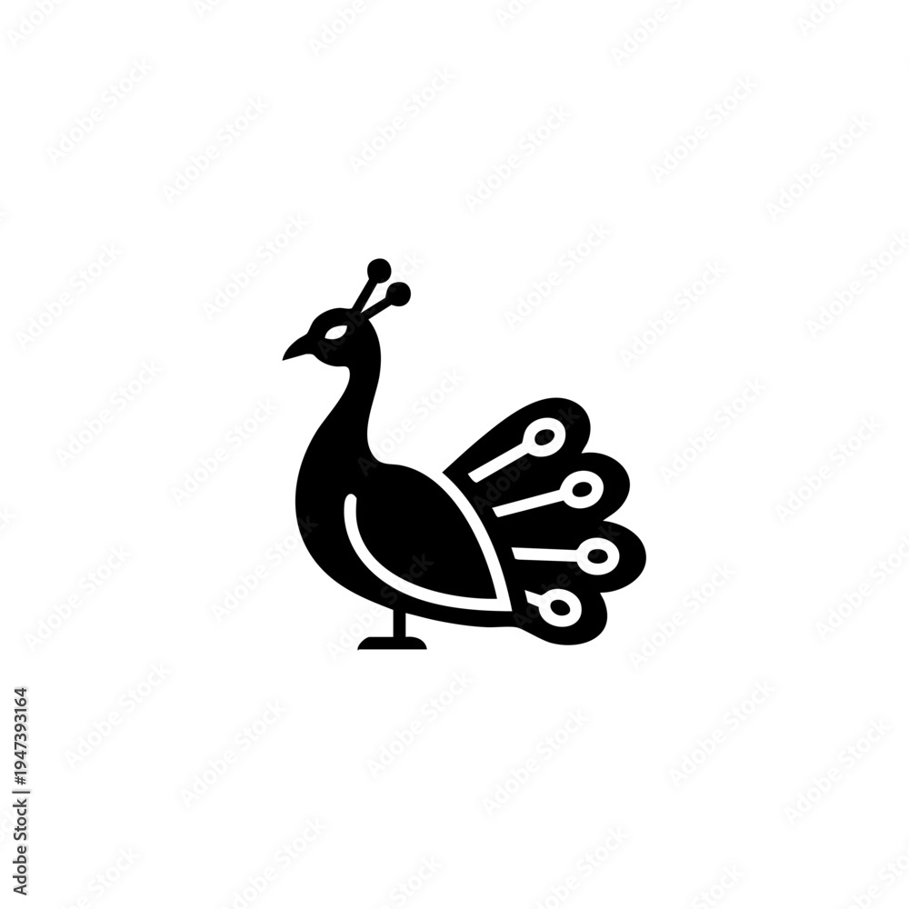 Fototapeta premium Graceful peacock standing with its tail feathers partially fanned out in profile view