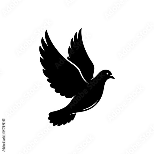 Graceful black pigeon in mid-flight with spread wings and tail feathers