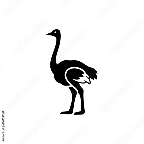 Graceful ostrich standing in a natural pose with elegant feather detailing