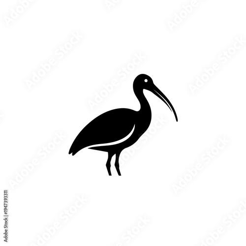 Elegant black silhouette of a wading ibis bird in natural stance