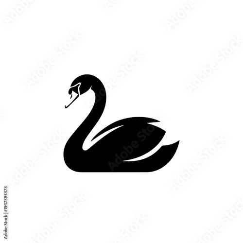 Elegant black swan in graceful silhouette against a plain background