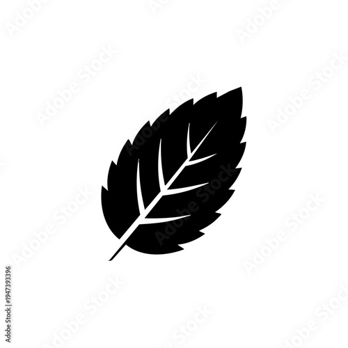A sleek black silhouette of a mint leaf with pronounced veins and serrated edges