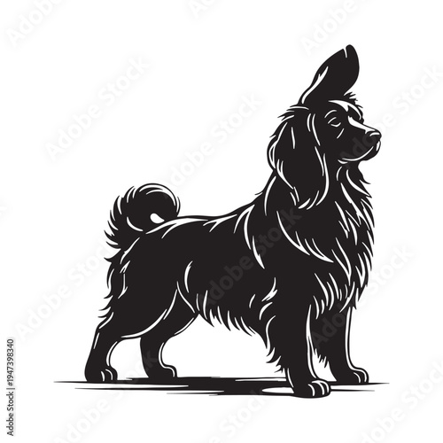 Majestic Akbash Dog – Powerful Turkish Livestock Guardian, Loyal Protector, Intelligent Working Breed, White Coat Farm Defender, Brave Watchdog, Protective Family Companion, Rare Ancient Shepherd.