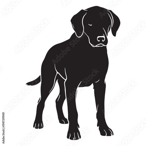 Powerful and Loyal Armenian Gampr – Ancient Livestock Guardian Dog, Brave Mountain Protector, Intelligent Working Breed, Strong Watchdog, Protective Family Companion, Traditional Armenian Shepherd.