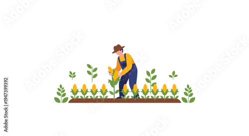 A cartoon farmer in blue overalls and a brown hat is actively harvesting a large yellow corn cob in a neatly planted field.