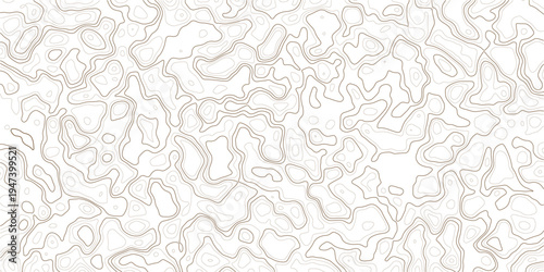 Abstract topographic map illustration with wavy lines and contours on white background