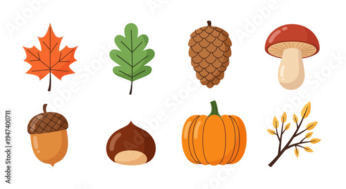 Autumnal elements collection