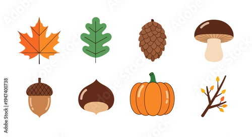 Autumnal elements vector illustration