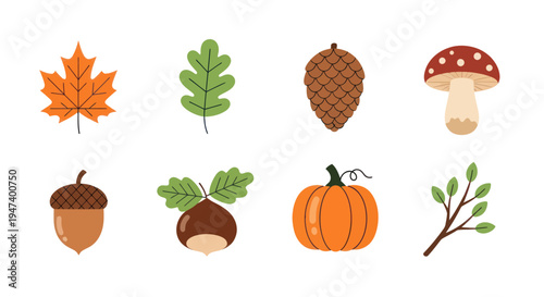 Autumnal foliage and forest elements