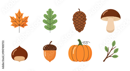 Autumnal nature elements collection