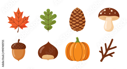 Autumnal nature elements collection