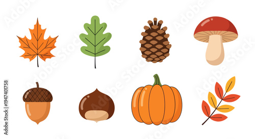 Autumnal nature elements collection