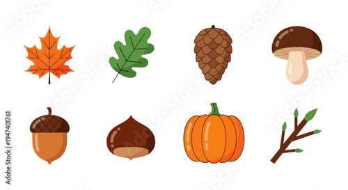 Autumnal nature elements collection