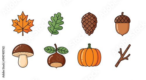 Autumnal nature elements collection