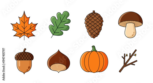 Autumnal nature elements collection