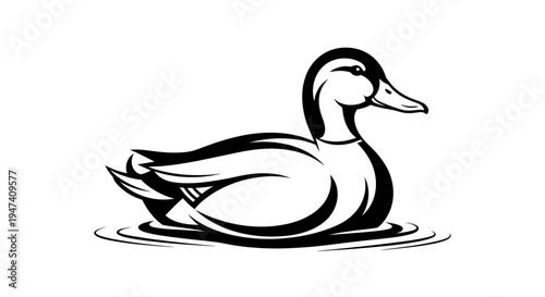 Black and white duck illustration floating on water surface vector design
