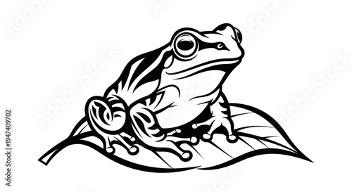 Black and white illustration of a frog sitting on a leaf isolated