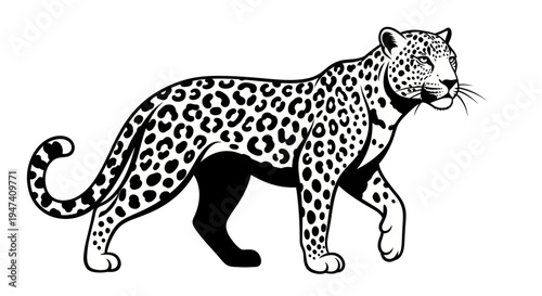 Black and white illustration of a leopard walking with spotted pattern
