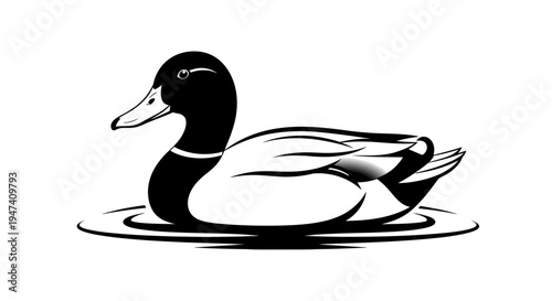 Black and white illustration of a swimming duck on white background