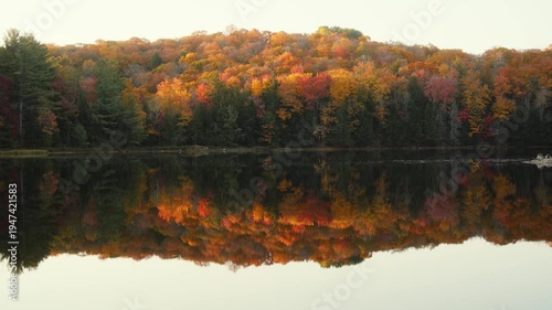 Early morning sunrise over a calm lake with perfect autumn forest reflection, peaceful mirror image of vibrant fall trees and pine forest on still water surface