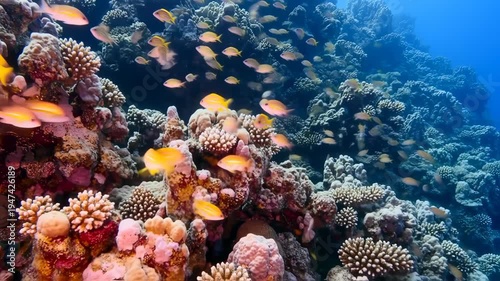 Underwater Coral Reef Ecosystem with Colorful Fish Swimming Around.