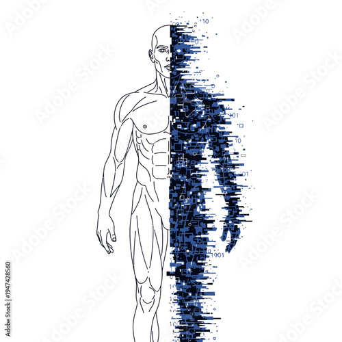 Human Body Anatomy Muscle Illustration.