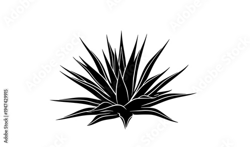 Decorative agave plant silhouette vector with sharp leaves abstract desert botanical design