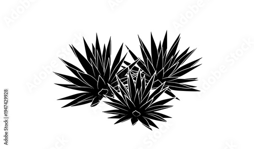 Cluster of agave plant silhouettes vector illustration desert succulent botanical art