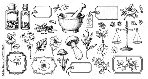 Vintage apothecary and herbalism illustration set. Hand-drawn sketches of mortar and pestle, medicinal plants, mushrooms, and glass bottles. Retro botanical elements on white background.