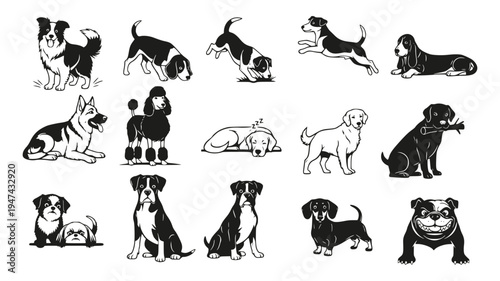 Collection of various dog breeds in minimalist black and white style. Hand-drawn silhouettes of labrador, bulldog, and poodle. Modern vector illustrations for pet care and animal branding.