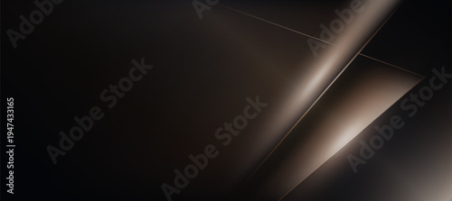 Luxury Premium Abstract Dark Brown Vector Background