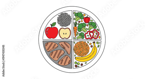 Healthy balanced meal plate vector illustration depicting different food groups for nutritional eating guide.