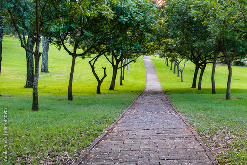 Wallpaper Mural Camden, NSW, Australia – February 16, 2026: historic town street scene with local shops and cafes, small-town architecture and roadside daily life in Camden, New South Wales editorial image Torontodigital.ca