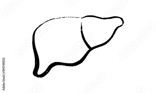 Liver logo sketch
