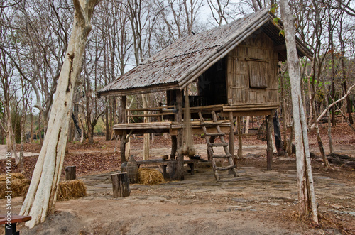 A traditional wooden stilt house in the forest