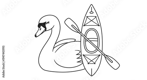 Elegant Swan with Kayak and Paddle - A Serene Water Scene.