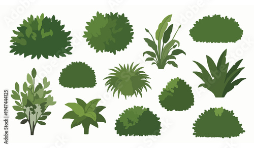 Decorative Greenery Shrubs Vector Set Isolated Garden and Tropical Plants