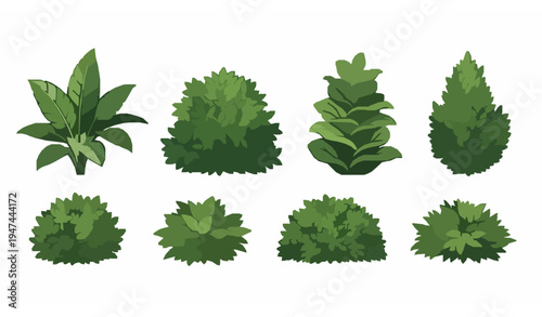 Tropical Garden Shrubs Collection Vector Isolated Greenery Plants Set