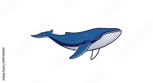 Majestic Blue Whale Illustration Vector Graphic for Marine Life and Conservation Design