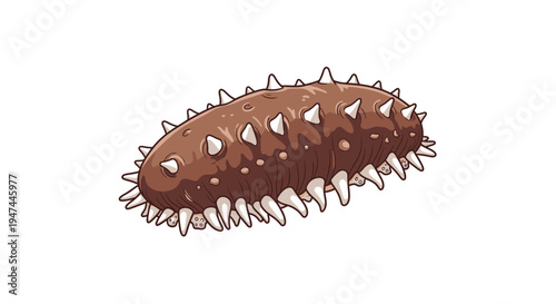 Sea Cucumber Marine Animal Vector Illustration Isolated on White Background Design Element