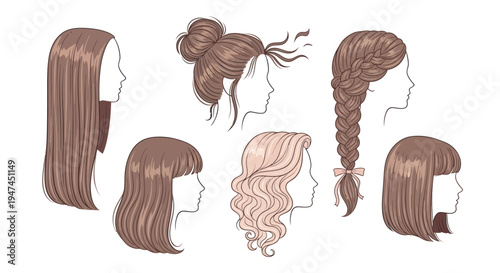Beauty  Fashion Vector Illustration: Diverse Women's Hairstyles Collection