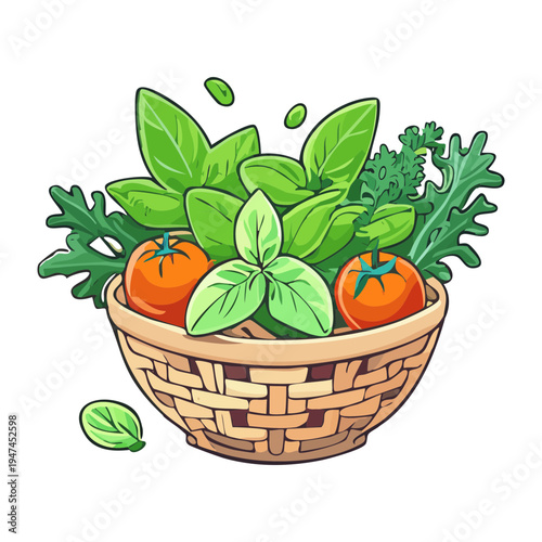 Fresh herb basket with tomatoes and green leaves for organic farm market and healthy cooking ingredient branding - Vector Illustration